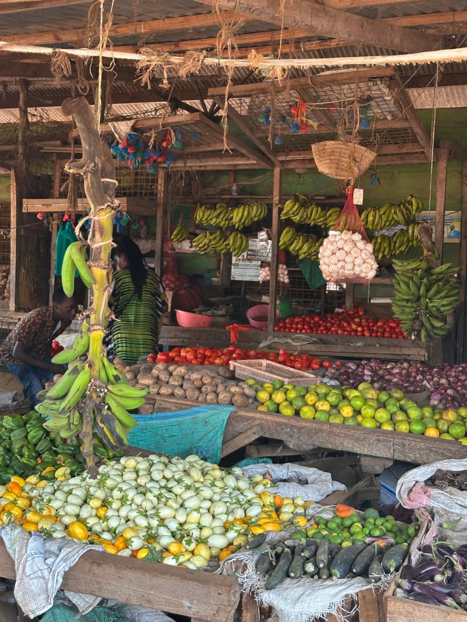 malinfi tour market