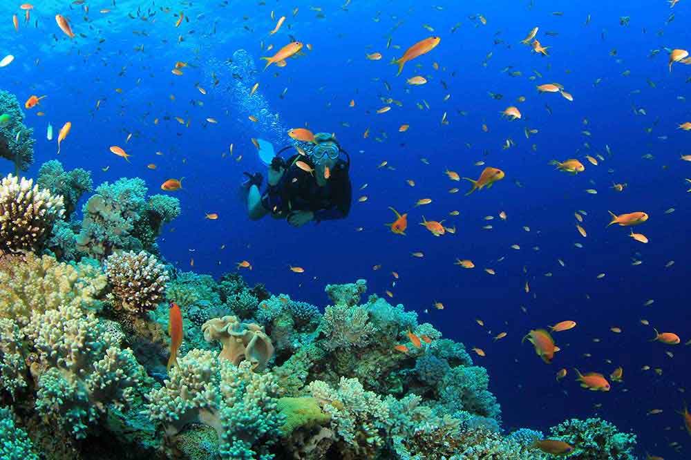 Snorkeling Zanzibar